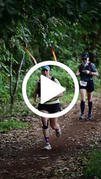 BIB:  <button type="button" onclick="openModal(27513372)" class="btn btn-primary btn-sm float-right" data-toggle="modal" data-target=".modal-high-quality">
                <i class="fa fa-download"></i> Download
                </button>